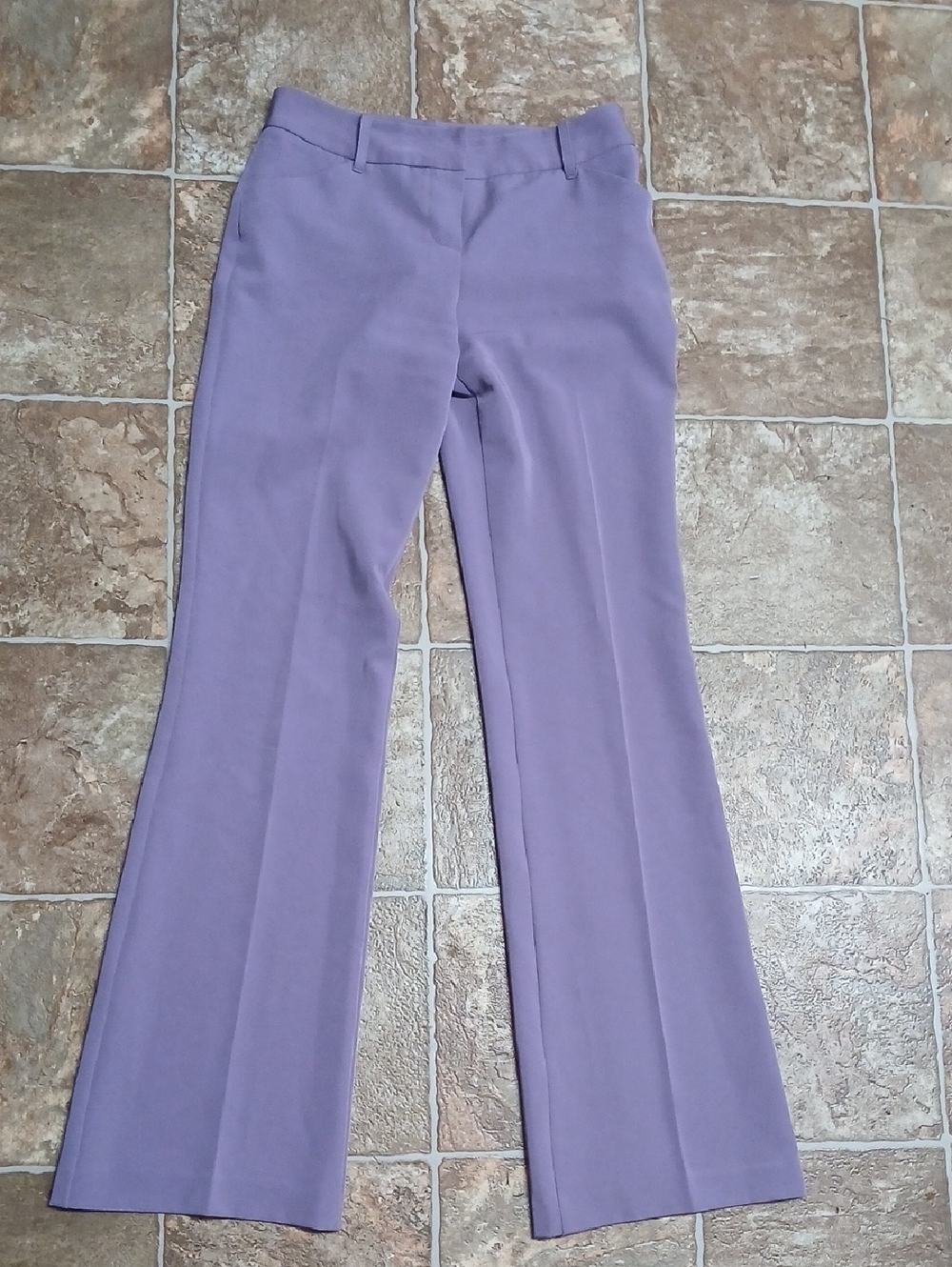 Byer California Lavender Boot Cut Dress Pants